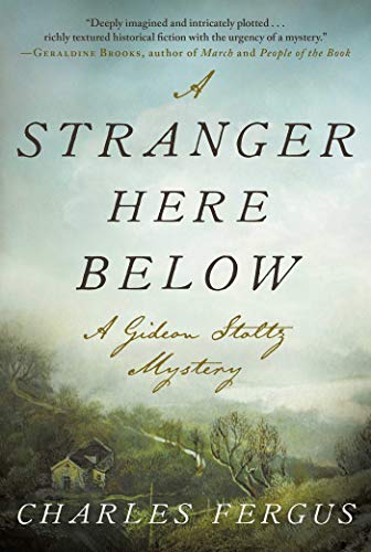 Imagen de archivo de A Stranger Here Below: A Gideon Stoltz Mystery (Gideon Stoltz Mystery Series) a la venta por mountain