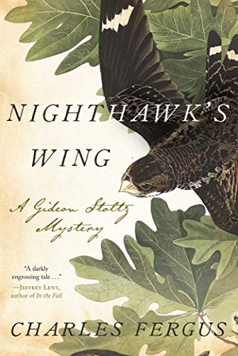 Beispielbild fr Nighthawk's Wing: A Gideon Stoltz Mystery zum Verkauf von ThriftBooks-Dallas