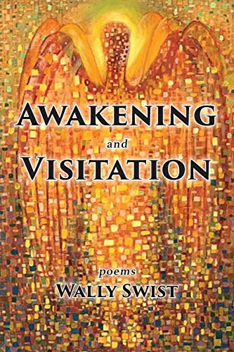 Stock image for Awakening and Visitation for sale by Housing Works Online Bookstore