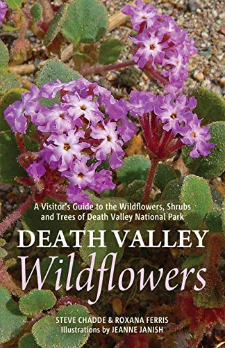 Beispielbild fr Death Valley Wildflowers: A Visitor's Guide to the Wildflowers, Shrubs and Trees of Death Valley National Park zum Verkauf von ThriftBooks-Atlanta