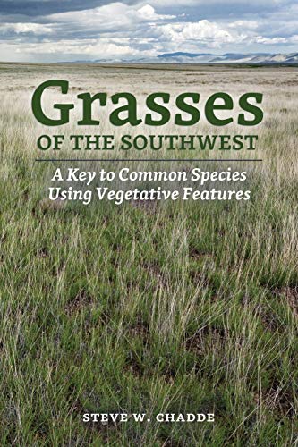 Imagen de archivo de Grasses of the Southwest: A Key to Common Species Using Vegetative Features a la venta por GreatBookPrices