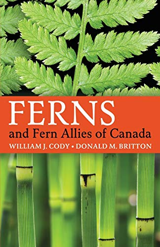Stock image for Ferns and Fern Allies of Canada for sale by GreatBookPrices