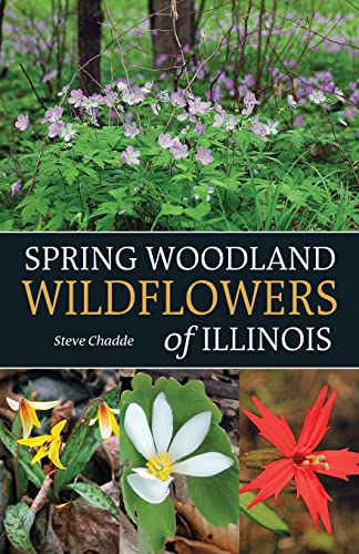Stock image for Spring Woodland Wildflowers of Illinois for sale by GreatBookPrices