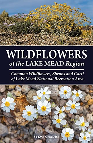 Stock image for Wildflowers of the Lake Mead Region for sale by GreatBookPrices