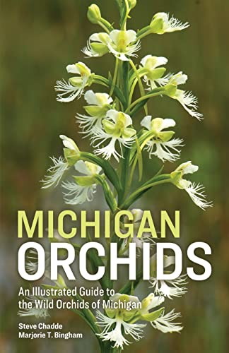 Beispielbild fr Michigan Orchids zum Verkauf von GreatBookPrices