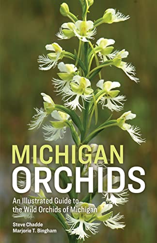 Stock image for Michigan Orchids for sale by GreatBookPrices