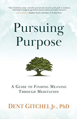 Stock image for Pursuing Purpose: A Guide To Finding Meaning Through Meditation for sale by Goodwill of Colorado