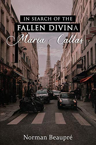 Imagen de archivo de In Search of the Fallen Divina Maria Claras a la venta por GreatBookPrices