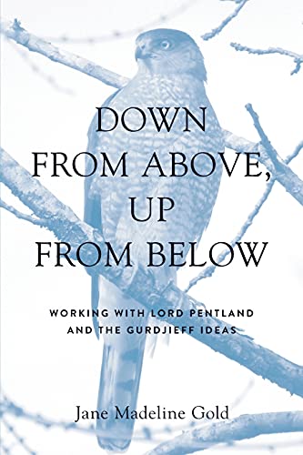 Stock image for Down From Above, Up From Below: Working with Lord Pentland and the Gurdjieff Ideas for sale by SecondSale