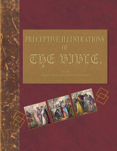 Stock image for PRECEPTIVE ILLUSTRATIONS OF THE BIBLE: UNDERSTANDING THE BIBLES THROUGH A TUTORIAL JOURNAL for sale by SecondSale