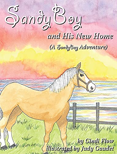 Imagen de archivo de SandyBoy and His New Home (A SandyBoy Adventure) a la venta por PlumCircle