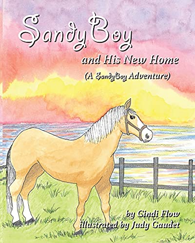 Imagen de archivo de SandyBoy and His New Home (A SandyBoy Adventure) a la venta por ThriftBooks-Atlanta