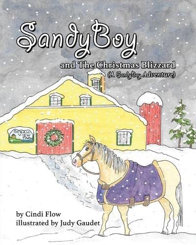 Imagen de archivo de SandyBoy and the Christmas Blizzard (A SandyBoy Adventure) a la venta por GF Books, Inc.