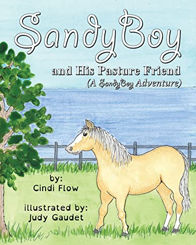 Imagen de archivo de SandyBoy and His Pasture Friend a la venta por GreatBookPrices