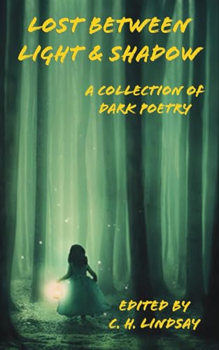 Stock image for Lost Between Light & Shadow: A Collection of Dark Poetry for sale by Books Unplugged