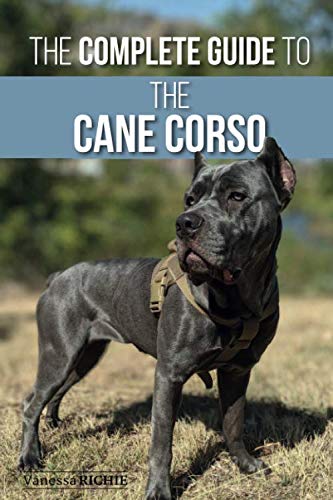 

The Complete Guide to the Cane Corso: Selecting, Raising, Training, Socializing, Living with, and Loving Your New Cane Corso Dog