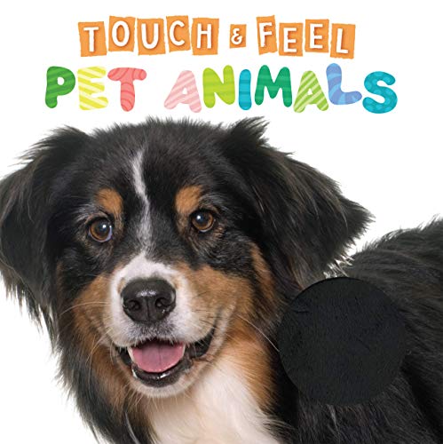 9781952137648: Touch and Feel Pet Animals - Novelty Book - Children's Board Book - Interactive Fun Child's Book