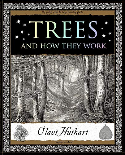 9781952178115: Trees: And How They Work (Wooden Books U.s. Editions)