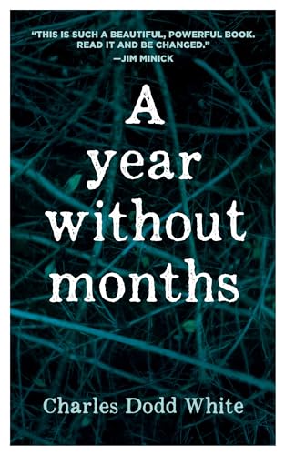 Stock image for A Year without Months (In Place) for sale by Midtown Scholar Bookstore