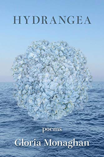 Beispielbild fr Hydrangea zum Verkauf von Better World Books