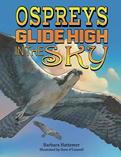 Stock image for Ospreys GLide High In The Sky for sale by ThriftBooks-Atlanta