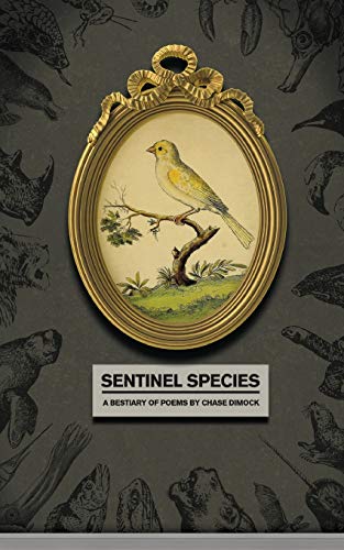 9781952411304: Sentinel Species