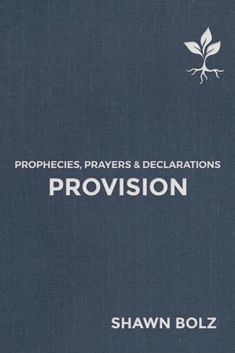 Beispielbild fr Provision : Prophecies, Prayers and Declarations zum Verkauf von Better World Books