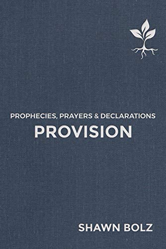 9781952421013: Provision: Prophecies, Prayers & Declarations