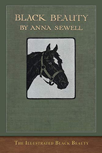 9781952433047: The Illustrated Black Beauty: 100 Illustrations