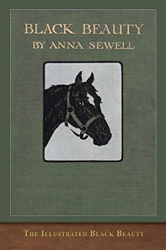 Stock image for The Illustrated Black Beauty: 100 Illustrations for sale by Goodwill