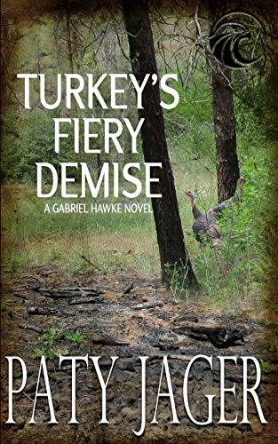 Stock image for Turkey's Fiery Demise: Gabriel Hawke Novel for sale by St Vincent de Paul of Lane County