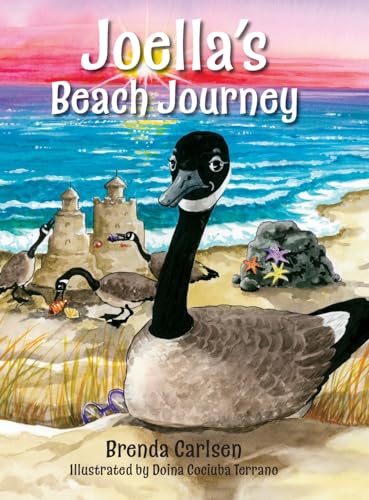 Stock image for Joella's Beach Journey for sale by Pelican Bay Books