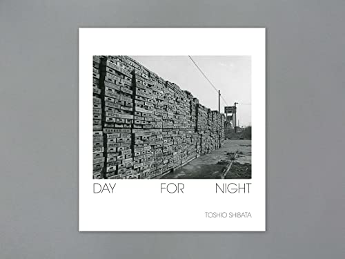 Stock image for Day for Night for sale by Strand Book Store, ABAA