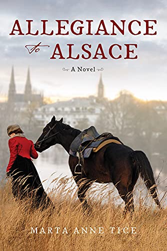 Beispielbild fr Allegiance to Alsace zum Verkauf von SecondSale