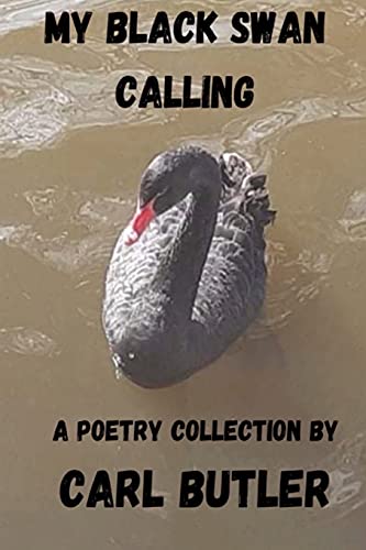 Stock image for My Black Swan Calling for sale by GF Books, Inc.