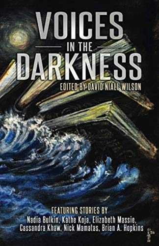 Beispielbild fr Voices in the Darkness zum Verkauf von ThriftBooks-Atlanta