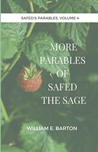 Imagen de archivo de More Parables of Safed the Sage (Safed's Parables) a la venta por Books Unplugged