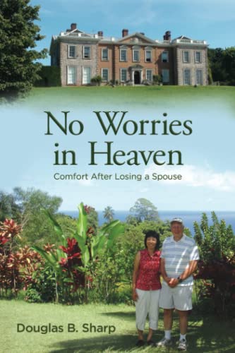 Stock image for No Worries in Heaven: Comfort After Losing a Spouse for sale by GF Books, Inc.