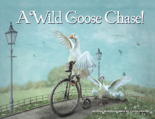 9781953177056: A Wild Goose Chase!