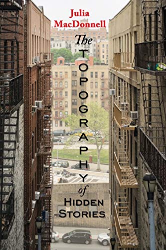 Imagen de archivo de The Topography of Hidden Stories a la venta por SecondSale