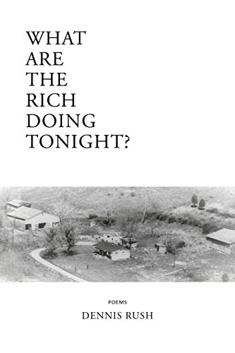 9781953252494: What Are The Rich Doing Tonight?