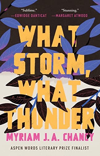 Imagen de archivo de What Storm, What Thunder a la venta por HPB-Movies