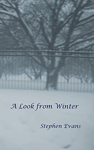Imagen de archivo de A Look from Winter a la venta por ThriftBooks-Atlanta