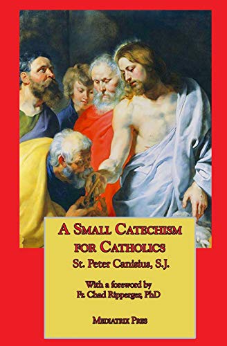 Stock image for A Small Catechism for Catholics for sale by AFL_Books