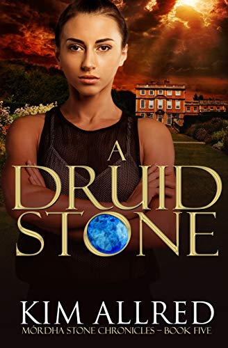 Stock image for A Druid Stone: A Time Travel Romance Adventure (M�rdha Stone Chronicles) for sale by Wonder Book