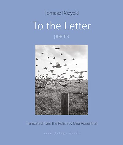 Imagen de archivo de To the Letter: Poems a la venta por BookOutlet