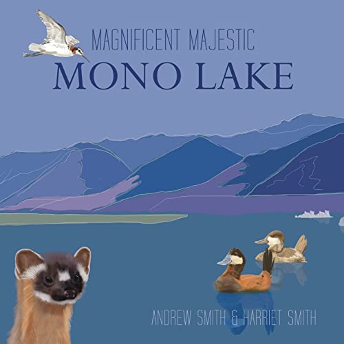 Beispielbild fr Magnificent Majestic Mono Lake zum Verkauf von Big River Books