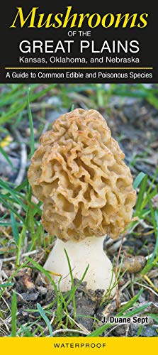 Stock image for Mushrooms of the Great Plains for sale by SecondSale