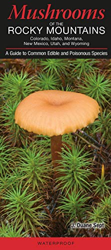 Stock image for Mushrooms of the Rocky Mountains for sale by Ergodebooks