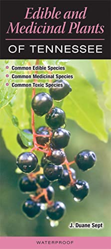 Stock image for Edible and Medicinal Plants of Tennessee for sale by Goodwill Books